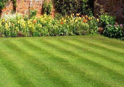 Selecting a Lawn Care Service image